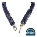 תמונת ממוזערת