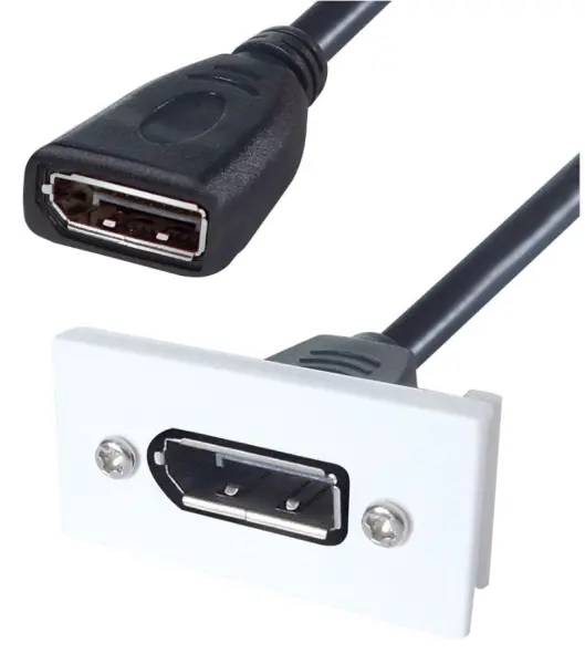 CONNEKT GEAR AV 모듈, DisplayPort