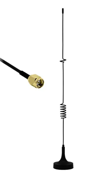 C3-RF00556