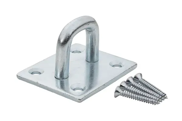 Blue Spot Tools 55 mm x 65 mm Zinc Plated Heavy Duty Staple Plate