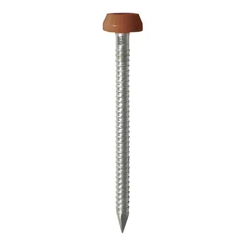 Timco Polymer Headed Pins - A4 Stainless Steel, Clay Brown, 40mm (250 pcs)