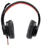 תמונת ממוזערת