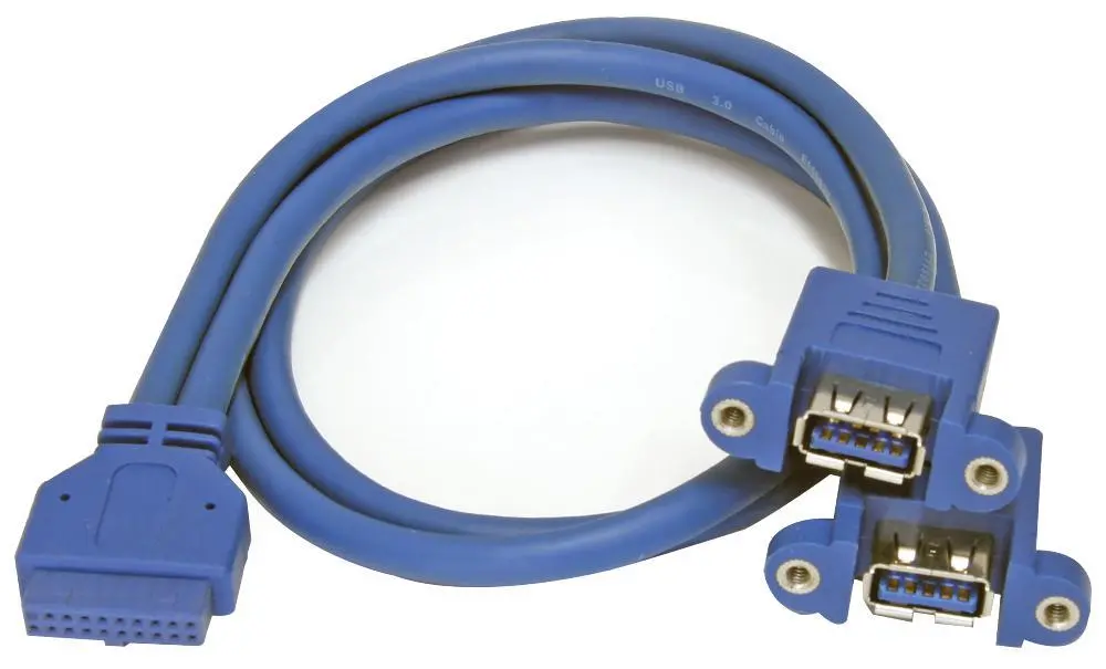 STARTECH - Câble USB 3.0 2 ports vers connecteur 20 broches de carte mère, 0,5m