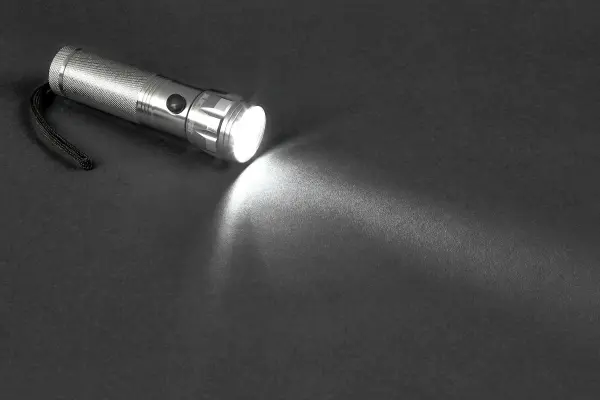 Blue Spot Tools Electralight 14 LED 铝合金手电筒（不含电池）