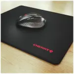 תמונת ממוזערת