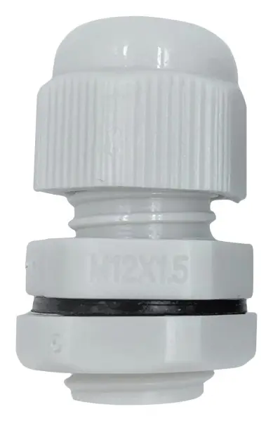 C3-CB21961