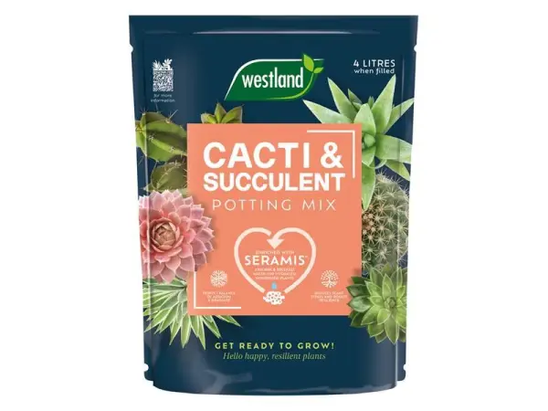 Westland Cacti & Succulent Compost 4L