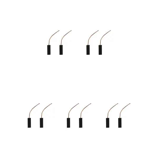 5 Pairs of Carbon Brushes for Electrolux Vacuum, 6x9x25mm